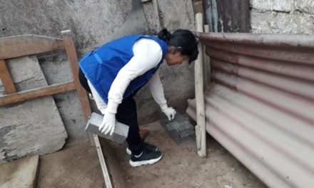 Intensifican acciones de vigilancia y prevención de peste bubónica en Víctor Larco