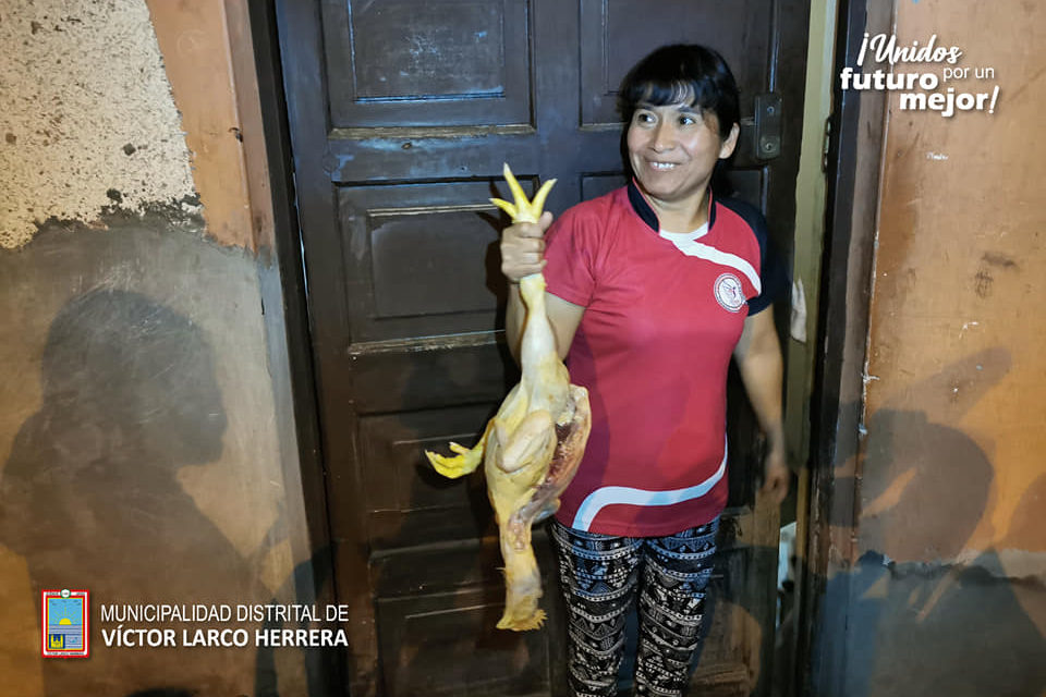 Entregan unos cuatro mil pollos a familias en Víctor Larco