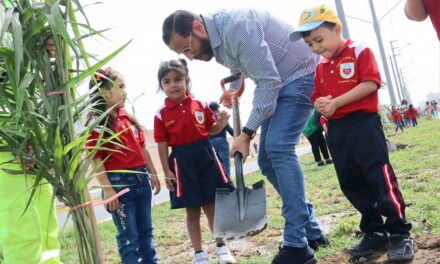 AVENIDA JUAN PABLO MEJORA CON ARBORIZACIÓN DE PALMERAS