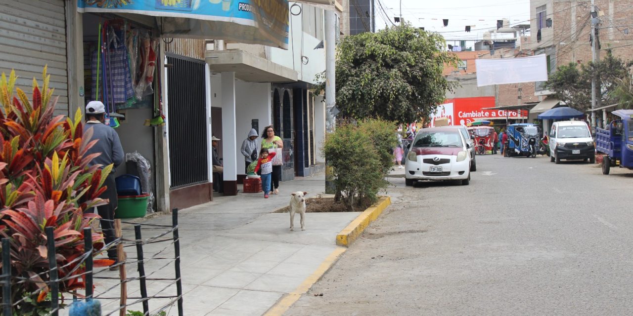 Continúan operativos de fiscalización en Víctor Larco