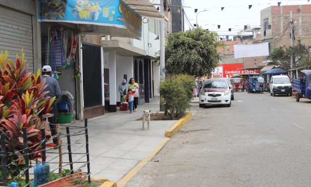 Continúan operativos de fiscalización en Víctor Larco